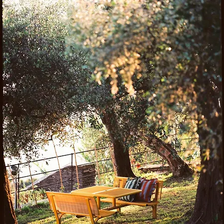 Casa Pernice Pensionat Lavagna